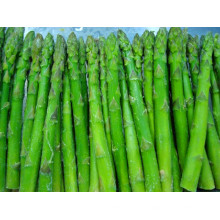 IQF frozen asparagus